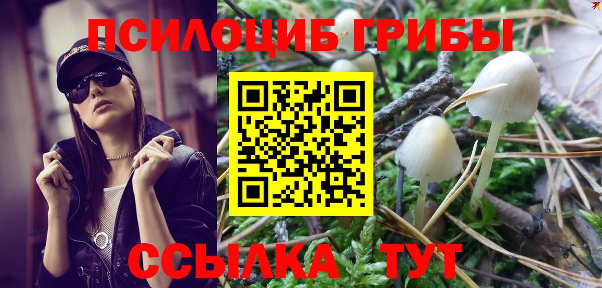 Керчь  Галлюциногенные грибы Psilocybine cubensis  как найти   Вход с VPN 