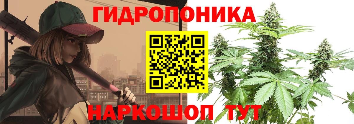 Конопля White Widow  Конопля AK-47  Керчь  Вход с VPN  Канабис White Widow 